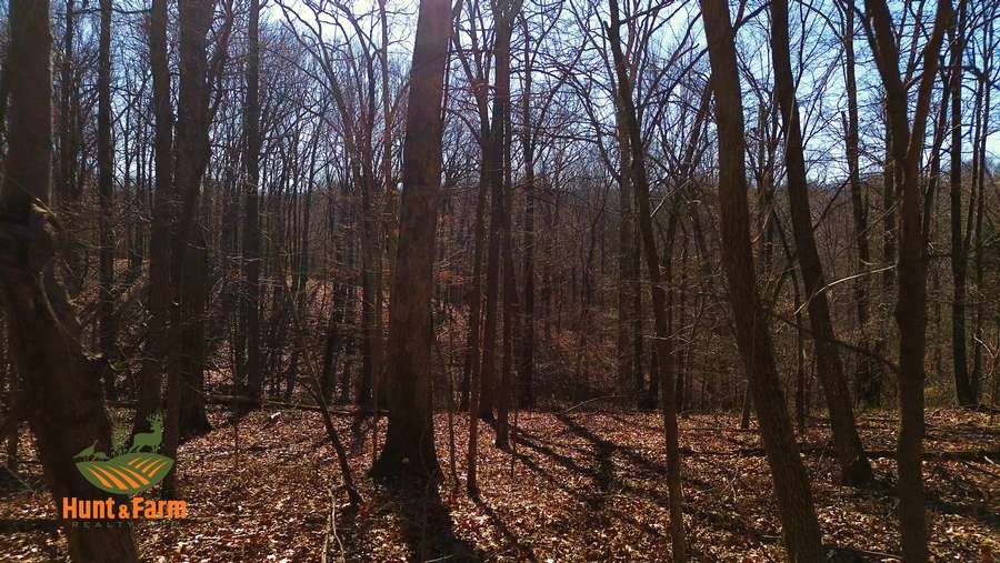 Still 2026-01-28 141101_2.11.11.jpg